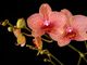 John Wiesenfeld - tramite Unsplash John Wiesenfeld - tramite Unsplash