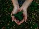 Noah Buscher- unsplash