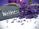 Wellness Village Torino 2025: cinque sabati dedicati al benessere