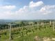 Viaggio in Piemonte: tra città d’arte, montagne e sapori autentici Viaggio in Piemonte: tra città d’arte, montagne e sapori autentici