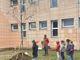 Un nuovo albero per la scuola primaria Anna Frank di Druento Un nuovo albero per la scuola primaria Anna Frank di Druento