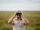 Il fascino del birdwatching tra autunno e inverno