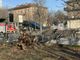 Albero crollato in corso Stati Uniti