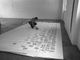 Giorgio Griffa compie 90 anni: una mostra alla sua Fondazione celebra l'artista