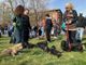 Torino invasa dai bassotti: oltre 1000 partecipanti per una Sausage Walk Italia da record