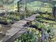 “Di Fiore in Foglia”, Gardenesque apre le porte alla primavera “Di Fiore in Foglia”, Gardenesque apre le porte alla primavera