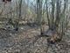 Cuorgnè, fa un falò per bruciare i rami e dà fuoco al bosco: denunciato dai Carabinieri