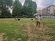 Inaugurata a Moncalieri la nuova area cani Dix Inaugurata a Moncalieri la nuova area cani Dix