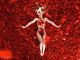 American Beauty American Beauty