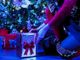 Realizza i tuoi desideri: un video di Natale che fa sognare