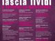 Collegno, da questa settimana &quot;L'amore non lascia lividi&quot;, il programma di eventi dedicati alla cultura del rispetto