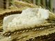 Genuinità, sostenibilità ecologica, artigianalità, trasparenza, prossimità e gusto sotto l'insegna di Confcooperative Cremona