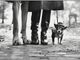 [Photo credits: ELLIOTT ERWITT - New York City, 1974]