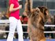 dog dance