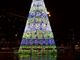 Torino Natale Magico, stasera l'accensione del grande albero alto 23 metri