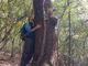 A Biella arriva il Forest Bathing, l'incontro ravvicinato con la natura a due passi dalla città