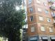 La cura degli alberi in città. Gli interventi in corso a Torino