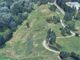 Torino sempre più verde: in arrivo duemila nuovi alberi per il Parco Sangone