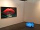 Chiude Artissima 2016, 50mila visitatori alla scoperta dell'hub internazionale per il contemporaneo