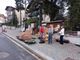 Bardonecchia, con le azalee della ricerca raccolti quasi 3.700 euro per la ricerca sul cancro