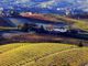 Vuoi organizzare una visita con degustazione in cantina? L’azienda agricola Ivaldi riapre le porte ai visitatori