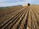 Adesso c’è la “Banca delle terre agricole”