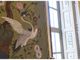 birdwatching palazzina stupinigi