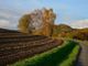 I Caa aiuteranno gli agricoltori per le pratiche amministrative