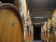 Alla cantina Terre del Barolo un ricco autunno tra vendemmia, fine lavori nei nuovi locali e la novità dello spumante metodo Classico Extra Brut Blanc De Blancs