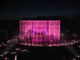 castello rivoli illuminato di rosa