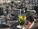 Il Covid pesa anche sui servizi cimiteriali: 86 funerali in un giorno solo e i decessi sono 1337 in più rispetto al 2019