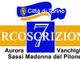 Circoscrizione 7, verso la richiesta di un aumento di bilancio