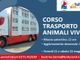 Iscriviti al corso “Conducenti trasporto animali vivi”