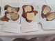 Cotolette con formaggio fuso sopra