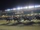 Domani all'ippodromo di Vinovo cavalli e sound pista