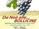 Da noé alle bollicine: al Musep di Pinerolo una mostra sulla storia della vite