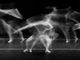 ballerine di danza classica