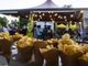 A Chieri la terza edizione del festival dell’Agricoltura Sociale