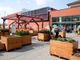 Eataly Lingotto festeggia la giornata della biodiversità