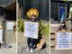 Attivisti Extinction Rebellion a Torino