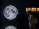 Torino sbarca sulla Luna 50 anni dopo: da Verne a Chagall, l'astro d'argento in mostra [FOTO]