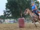 A San Francesco al Campo si festeggia il Cavallo e non solo