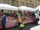 Da 15 anni a Venaria Reale, il weekend è dedicato Festa delle Rose...! (Foto e Video)
