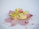 Il Festival della Cucina con i Fiori e i suoi protagonisti ad Alassio dal 31 marzo