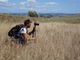 Il film “I volti della Via Francigena” arriva a Chieri