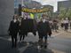 Il Governo a Torino contro l'inquinamento, Fridays For Future &quot;celebra&quot; il funerale del futuro [VIDEO]