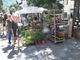 Un successo a Bardonecchia la quinta edizione di Flor Estate