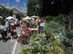 Flor in versione estiva a Bardonecchia