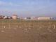 1.000 nuovi alberi nel Comune di Carmagnola grazie all’impegno di E.ON