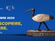 Il Museo Egizio aderisce alle Giornate Europee del Patrimonio